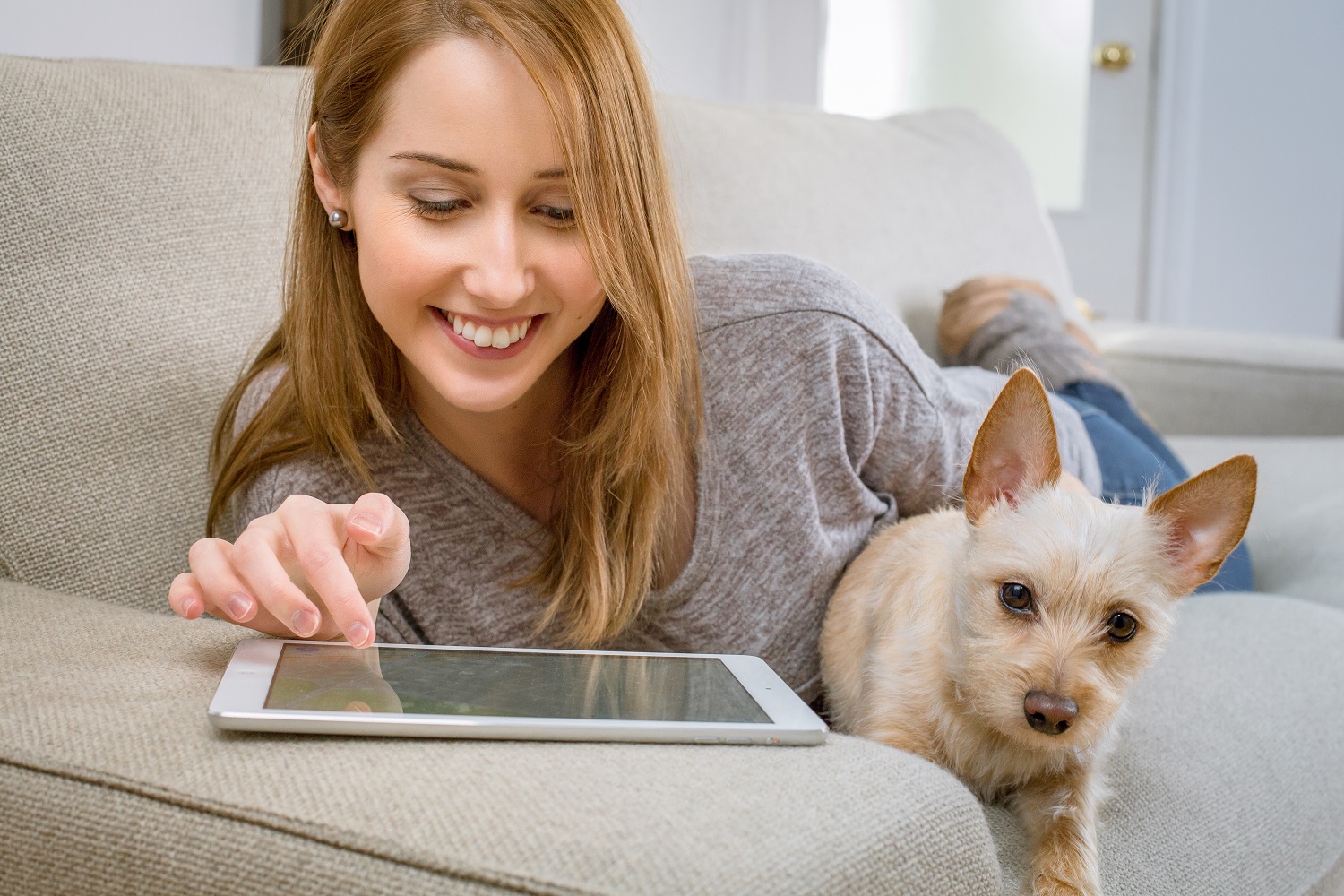 woman with dog and tablet on couch